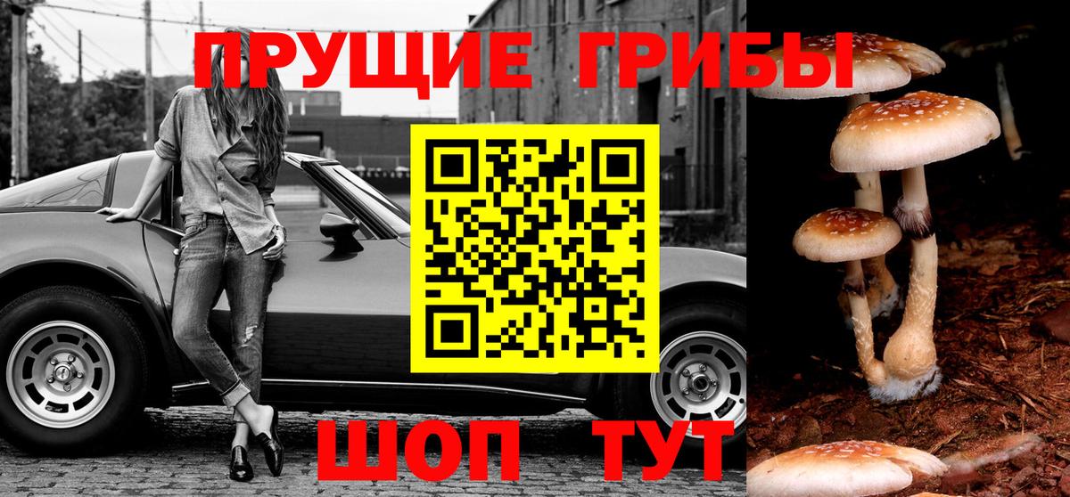 Псилоцибиновые грибы MAGIC MUSHROOMS  Вход с VPN  сколько стоит  Сергиев Посад 