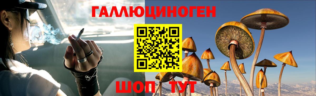 Псилоцибиновые грибы Magic Shrooms Сергиев Посад